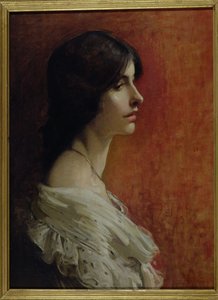 SB 269 Portret van een jonge dame, 1897